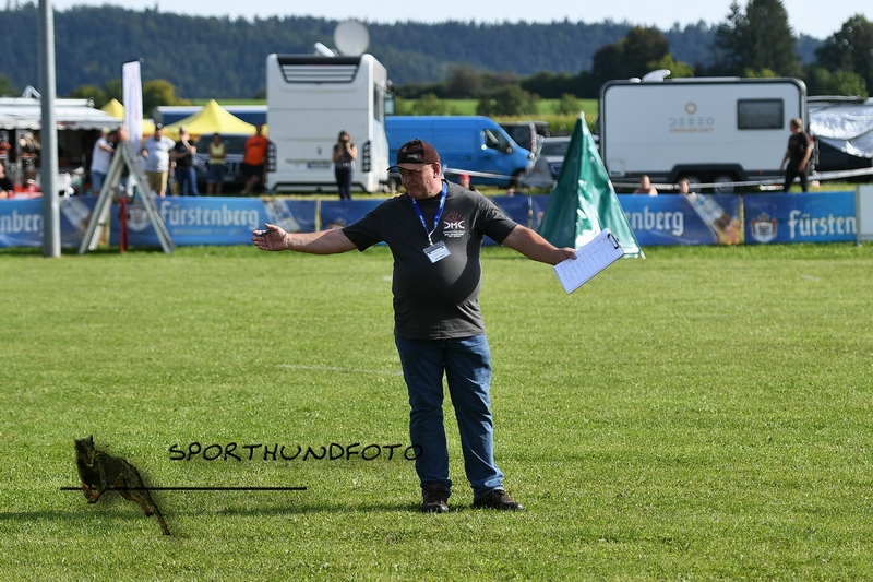 Impressionen 627.jpg